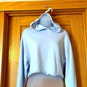 HOLLISTER  Baby Blue Sweatshirt *Women’s Size Small